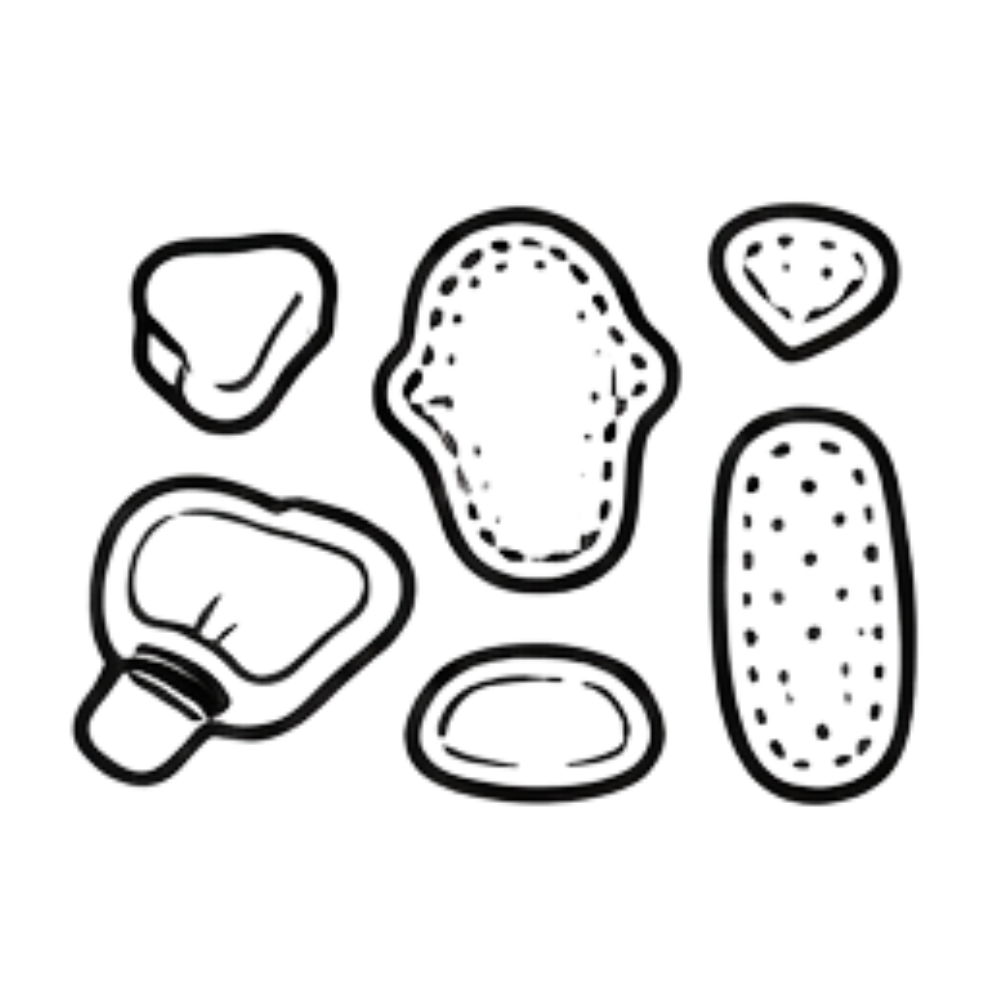 Chest Protector Parts