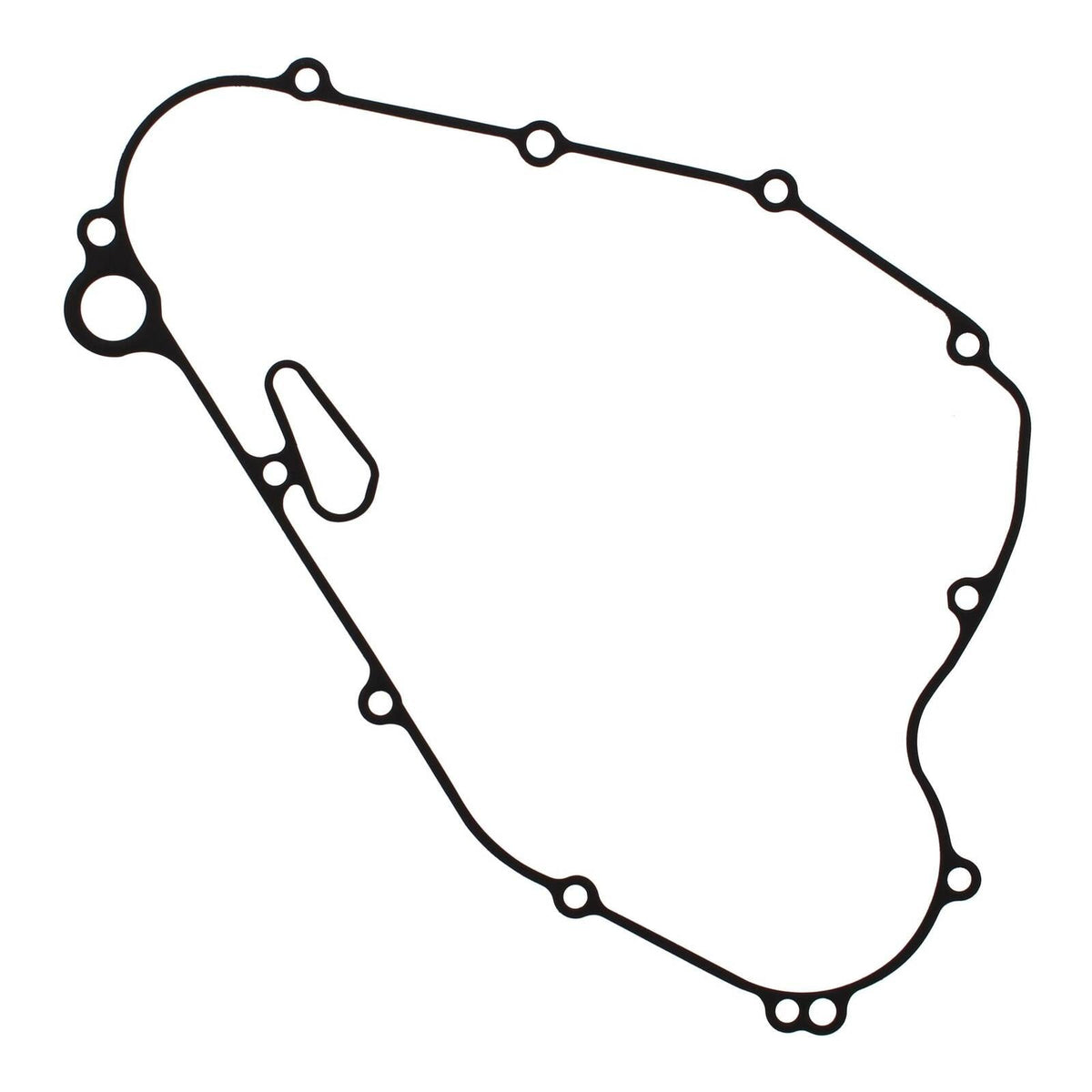 0.30418700 1787228173107500022