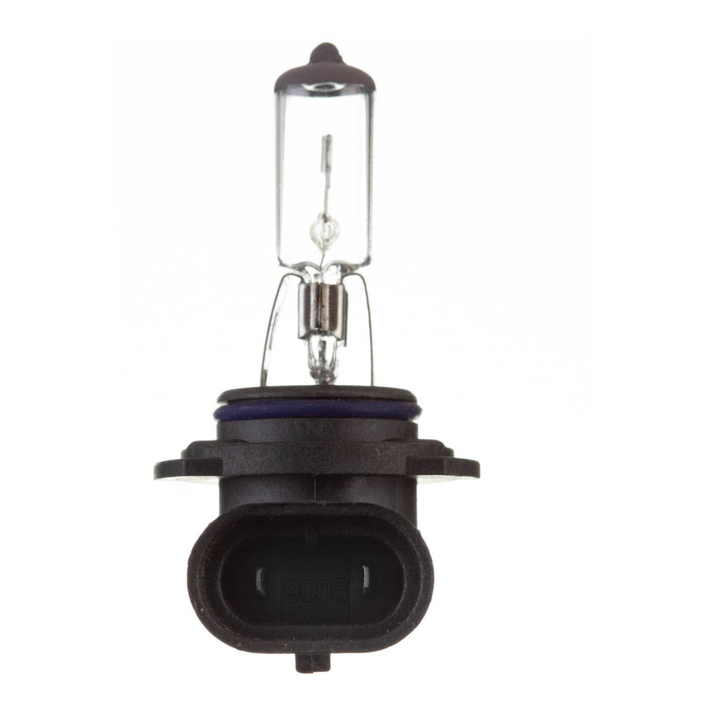 Globe 12V 55W H/L HB4 Plastic Base Halogen (ea)