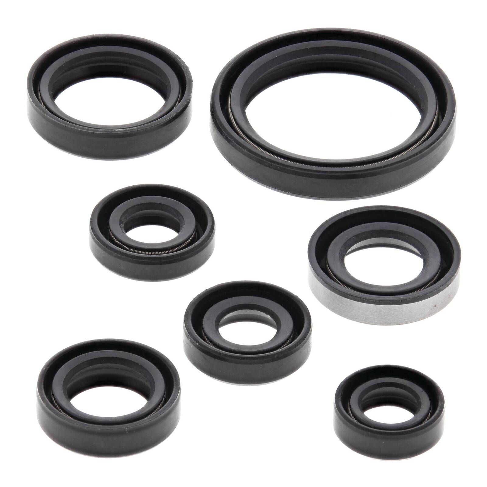 Oil Seal Kit 822193