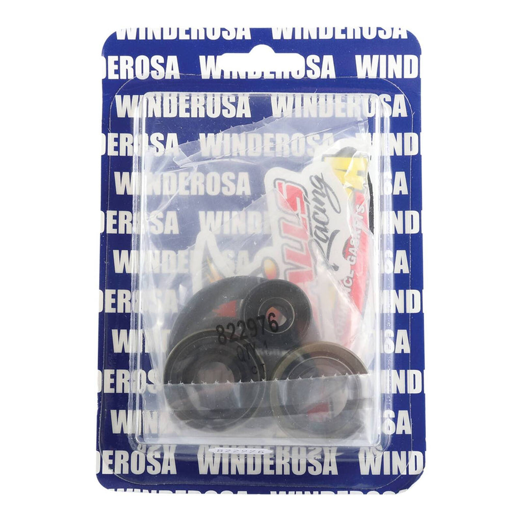 Oil Seal Kit 822976