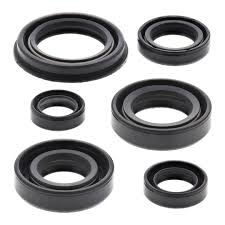 OIL SEAL KIT 822005