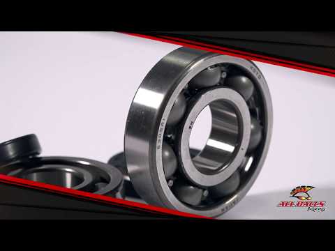 All Balls Racing Crankshaft Bearing Kit (24-1011)